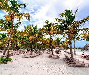 Palmy, Wakacje, Tropiki, Leżaki, Plaża