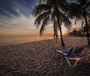 Ocean, Tropiki, Palmy, Wschód Słońca, Plaża