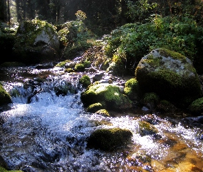 Potok, Tatry