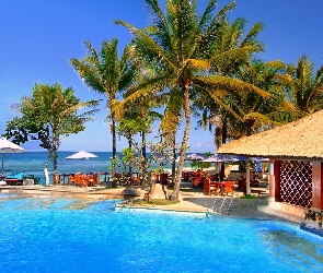 Hotel, Bali, Palmy, Basen, Morze