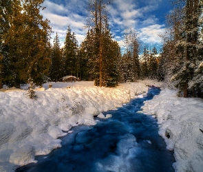 Zima, Las, Rzeka, Śnieg