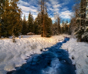 Rzeka, Zima, Las, Śnieg