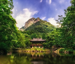Góry, Chiny, Jezioro, Lasy, Pagoda
