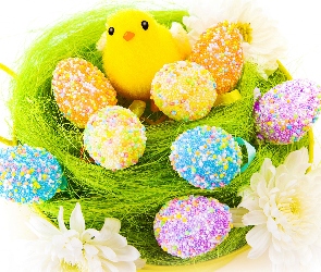 Wielkanoc, Kwiaty, Jajka, Kurczaczek