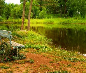 Staw, Ławka, Park