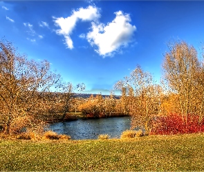 Staw, Drzewa, Jesień