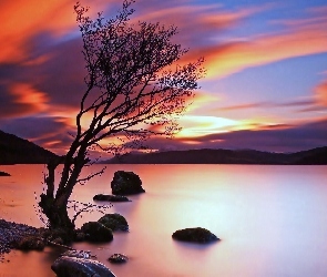 Drzewo, Zachód słońca, Chmury, Jezioro