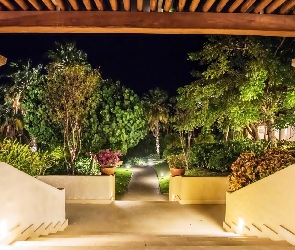 Patio, Ogród, Dom