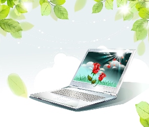 Liście, Laptop