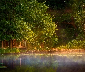 Mgła, Poranek, Park, Lato, Staw, Mostek