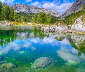 Kamienie, Las, Góry, Jezioro