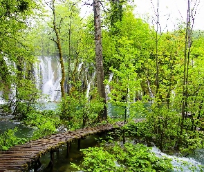 Las, Chorwacja, Plitvice, Pomost, Wodospad