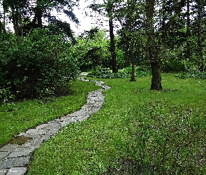 Krajobraz, Dróżka, Park