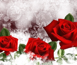 Czerwone, Urodzinyża, Art, Podziękowanie, Róże