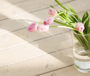 Tulipany, Kwiaty