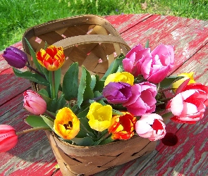 Stół, Koszyk, Kolorowe, Tulipany