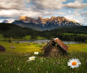 Jezioro Geroldsee, Góry Alpy, Domki, Niemcy, Kwiatki, Łąka, Bawaria, Lasy