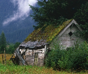 Chata, Góry, Opuszczona