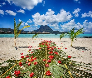 Plaża, Bora Bora, Niebo, Chmury, Morze