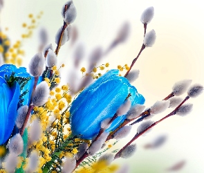 Niebieskie, Dekoracja Wielkanocna, Kwiatki, Bazie, Tulipany