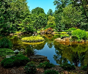 Park, Żurawie, Zieleń, Staw