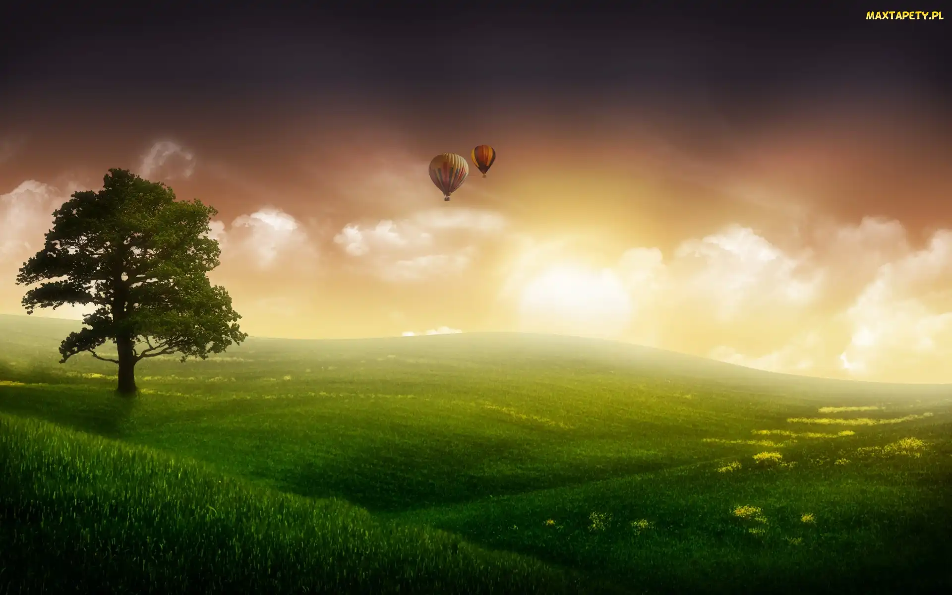 Słońce, Balony, Łąka