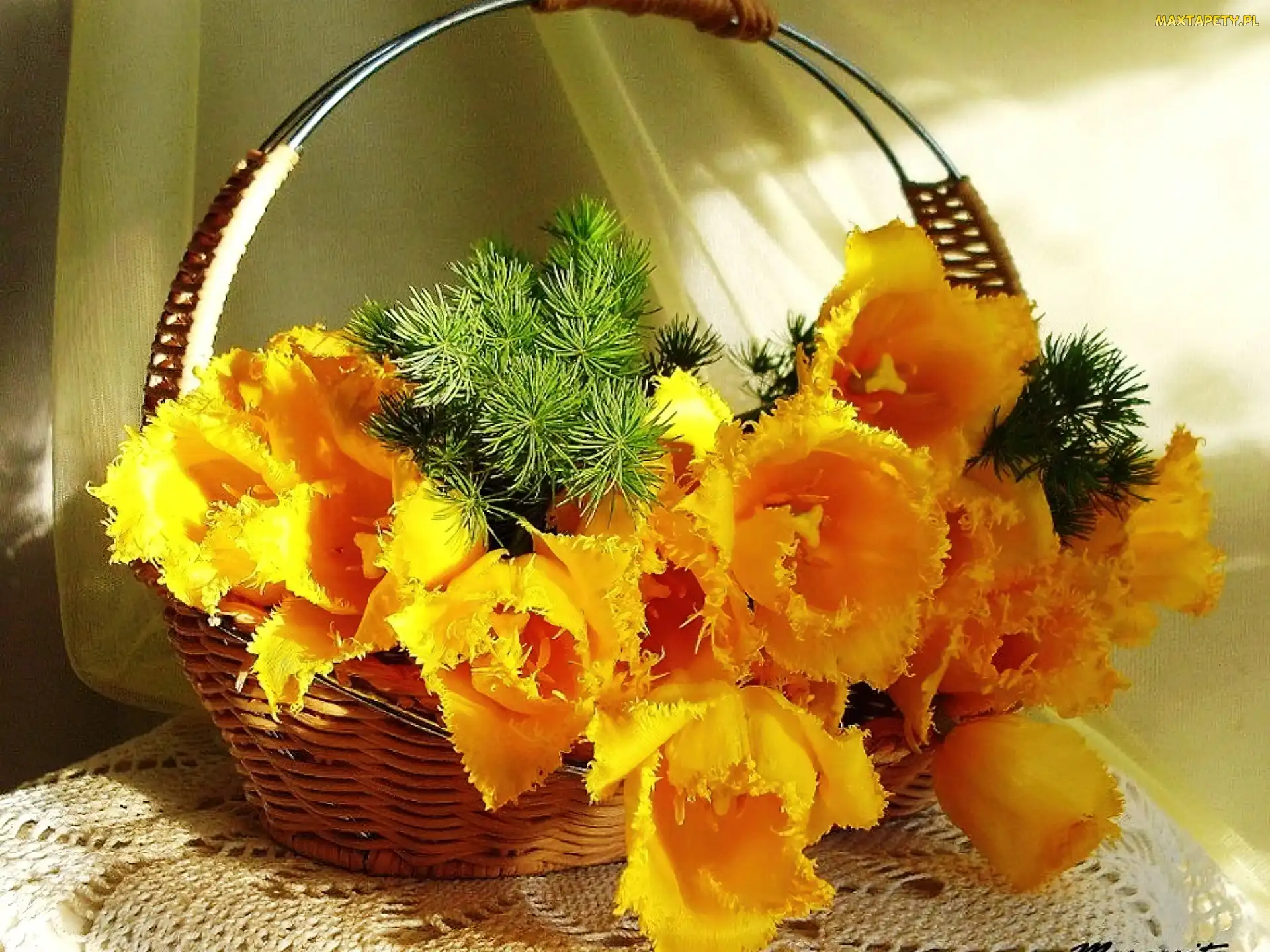 Żółte, Tulipany, Koszyk