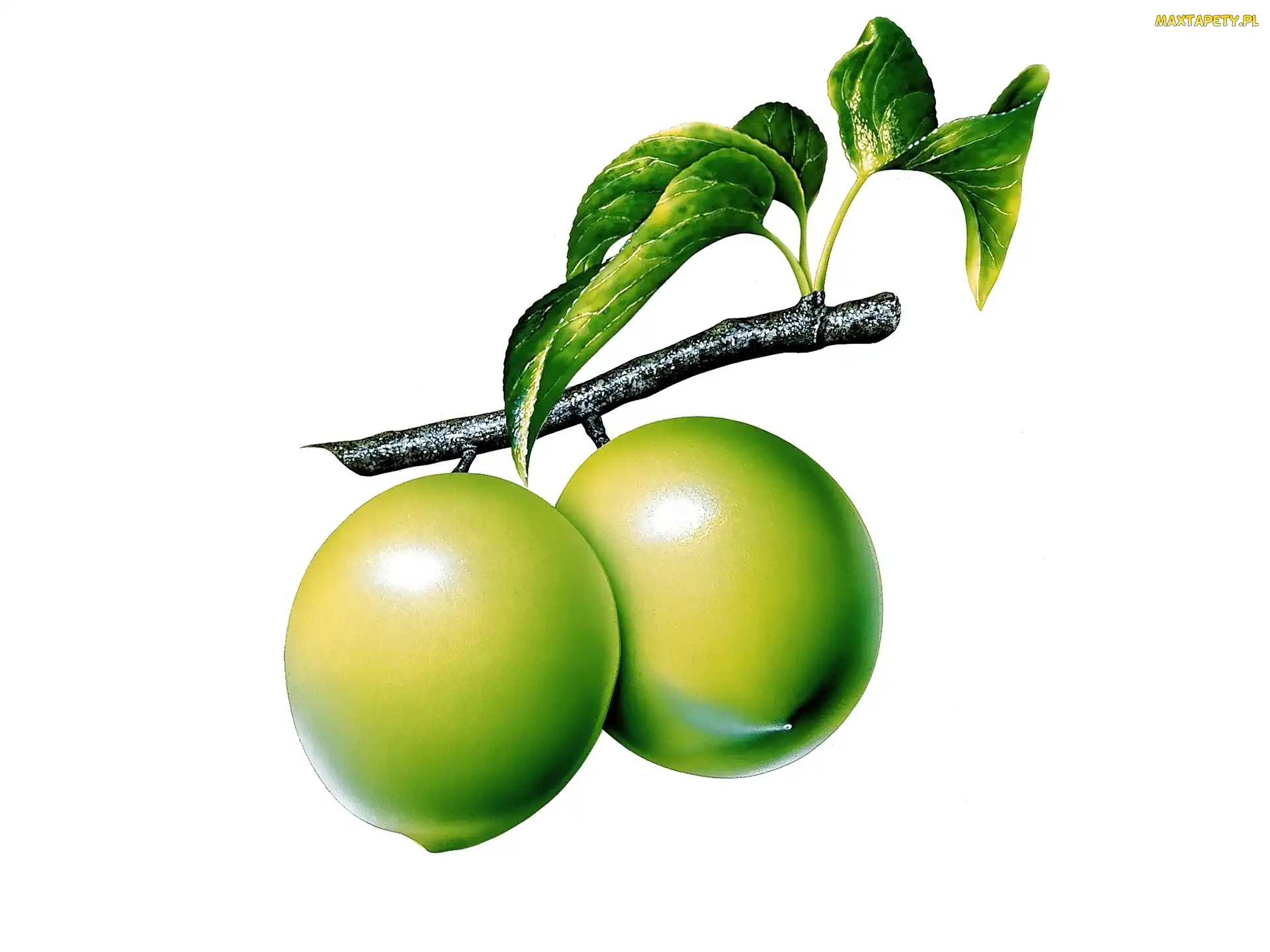 Limonki, Dwie