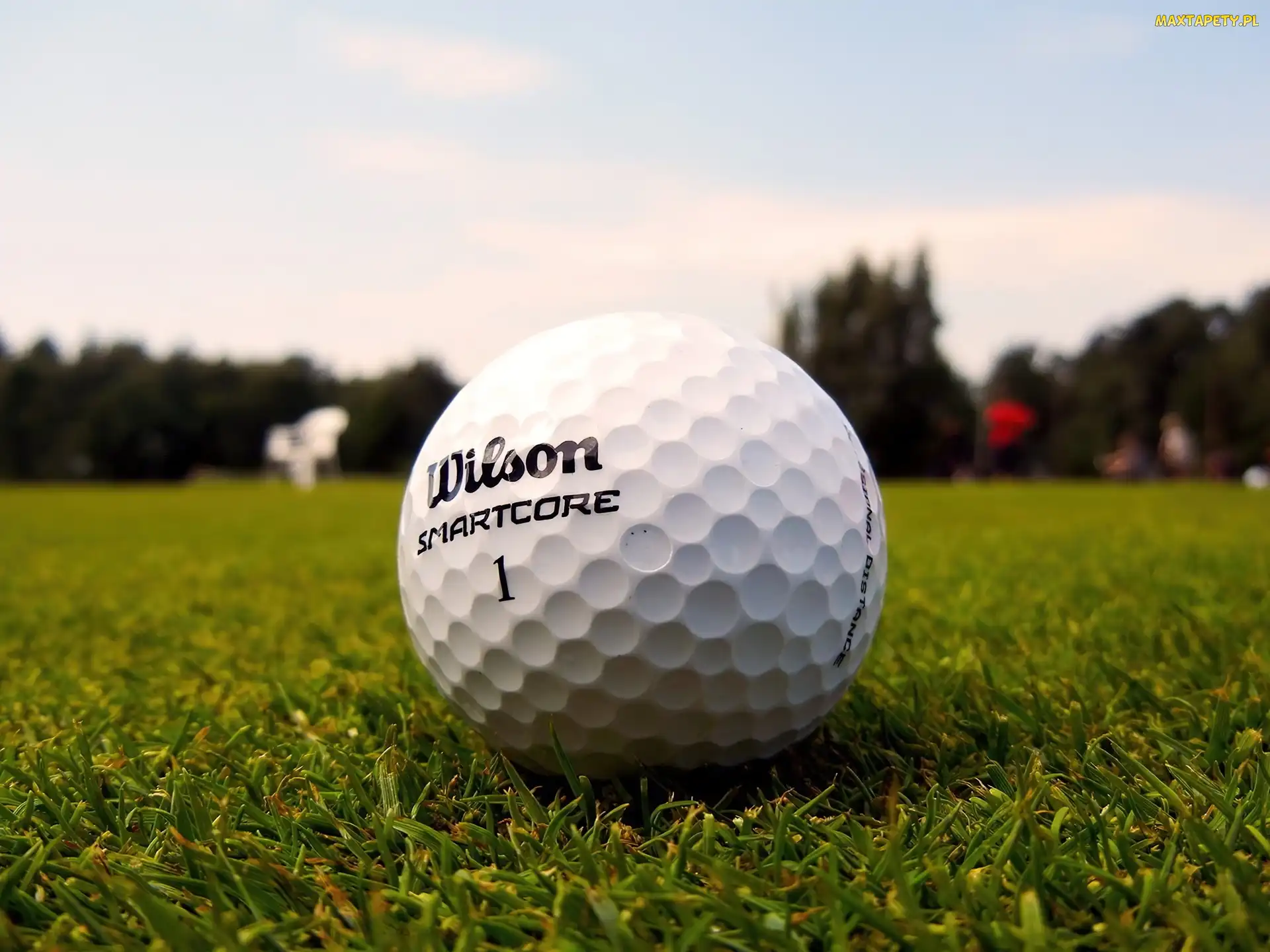 Golfowa, Wilson, Piłka