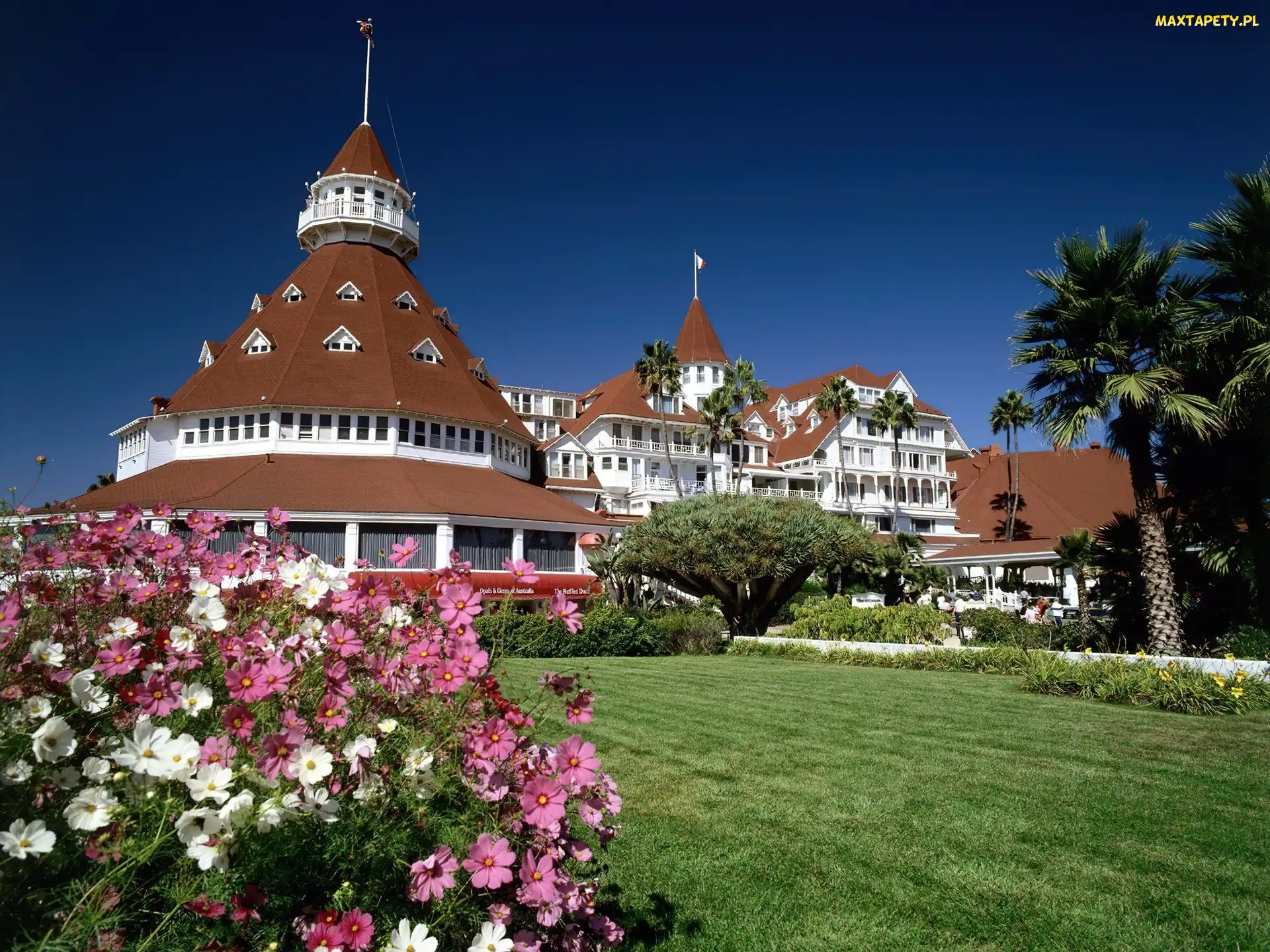 Trawnik, Kwiaty, Hotel, Coronado