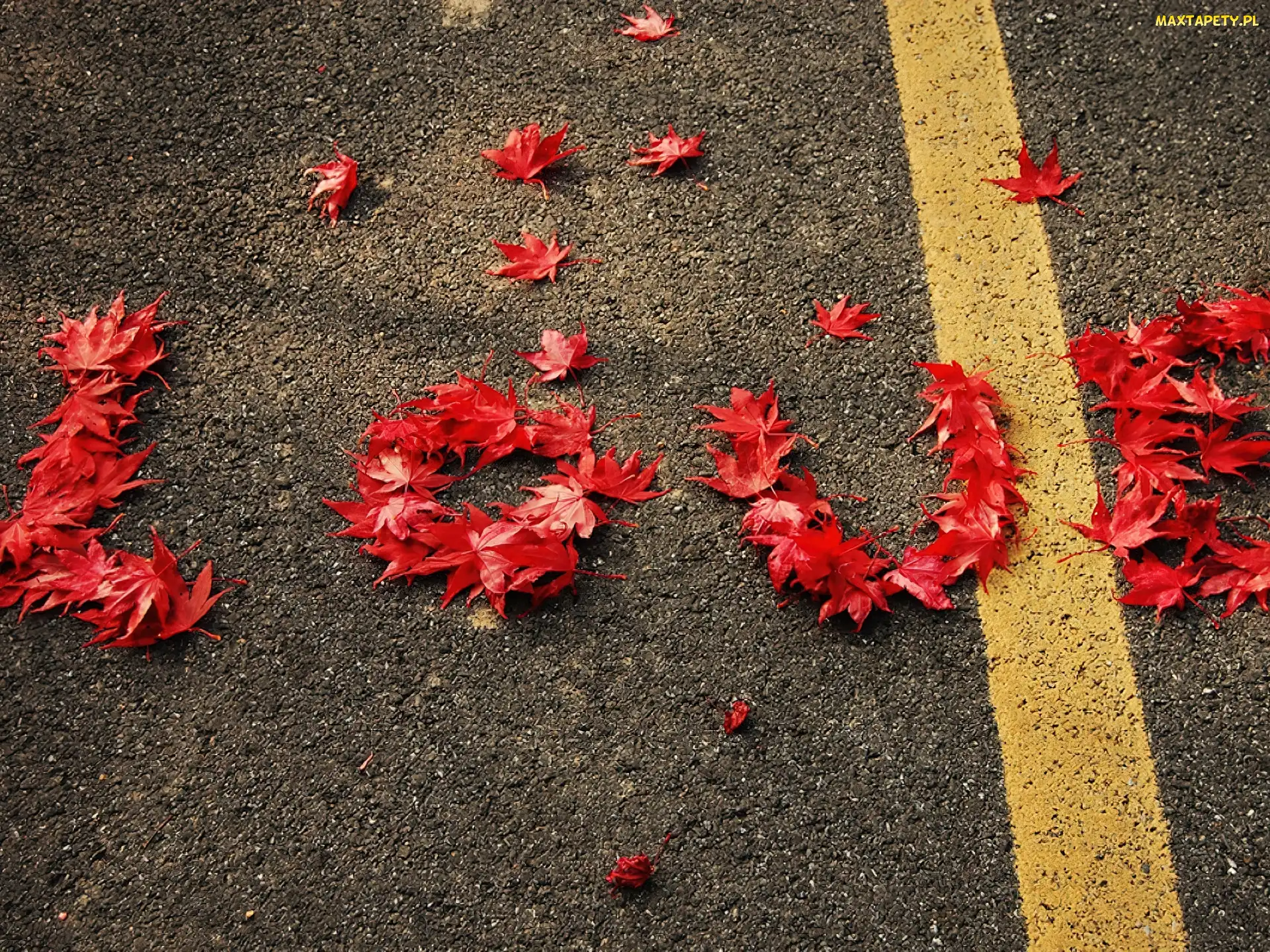 Love, Napis, Droga, Liście