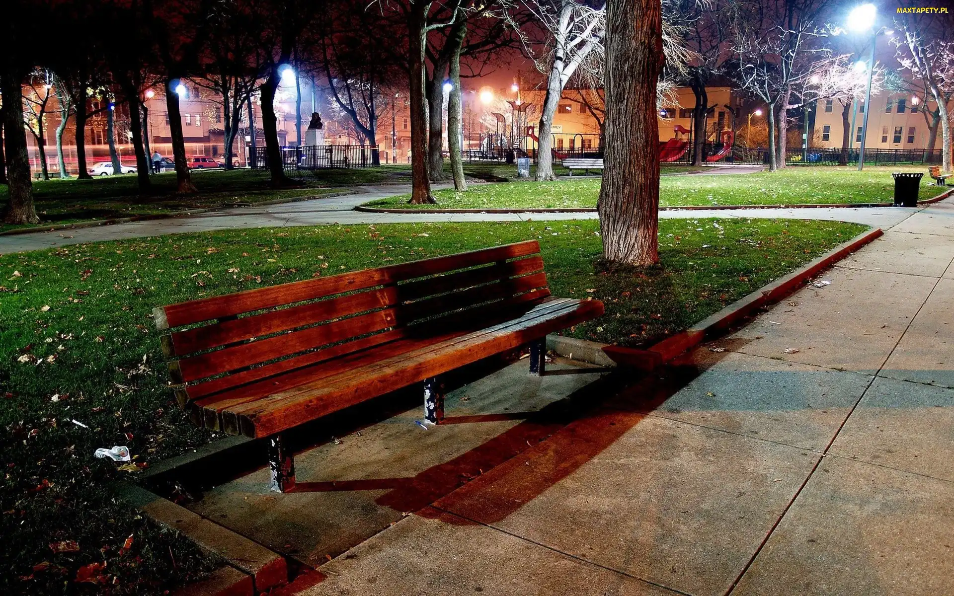 Ławka, Park, Noc