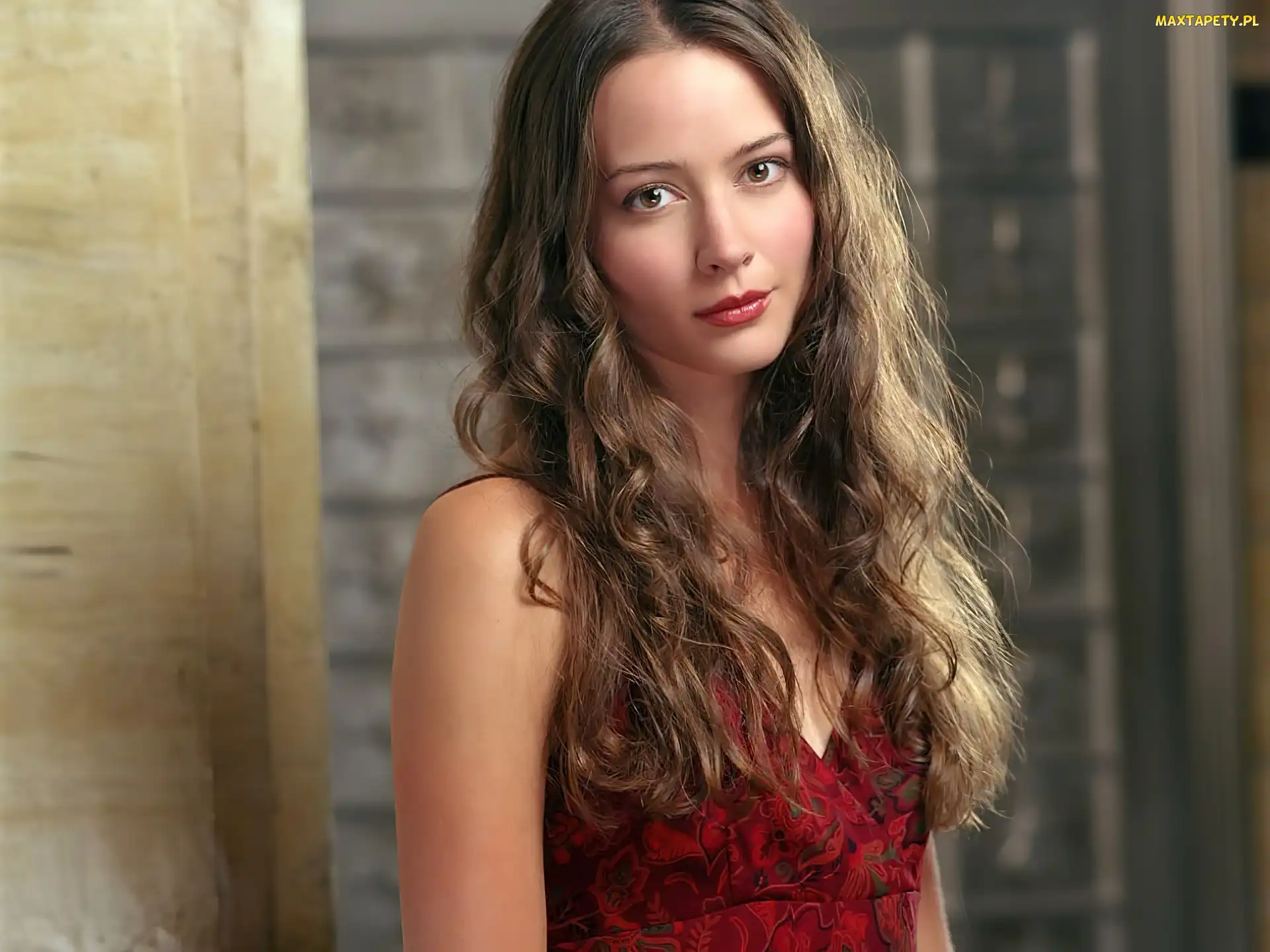 Bluzka, Czerwona, Amy Acker, Aktorka