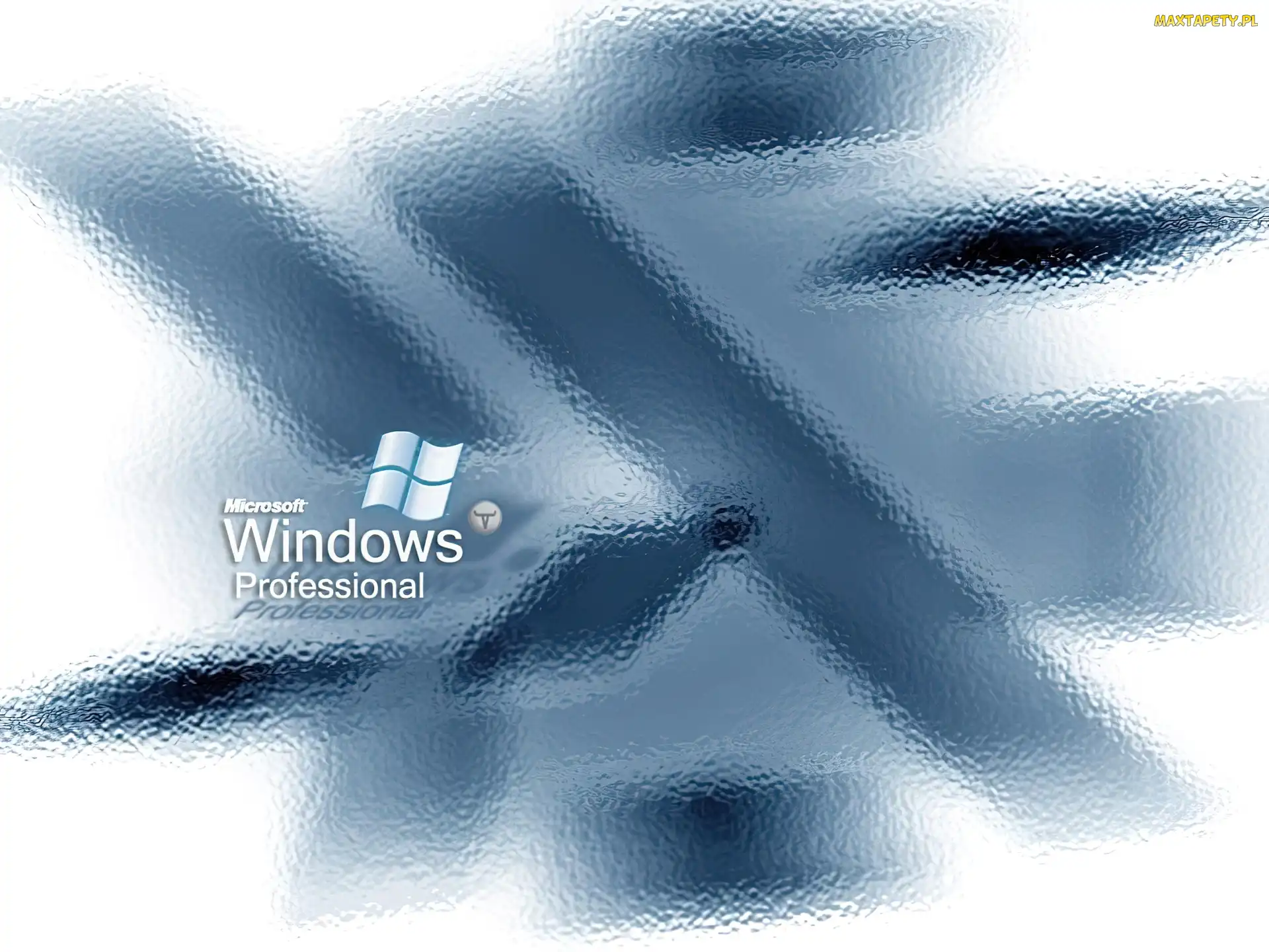 Windows XP