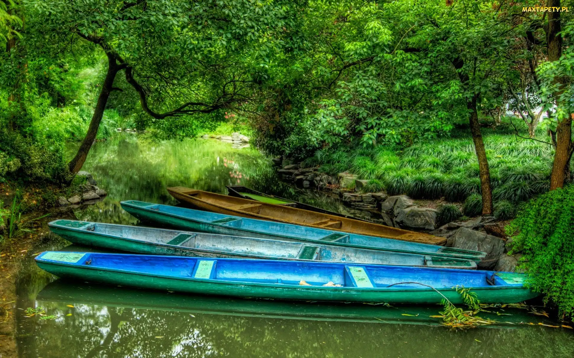 Drzewa, Kajaki, Jezioro