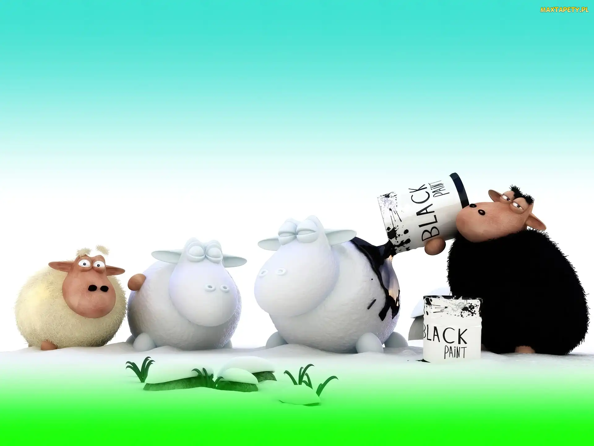 3D, Farby, Owce