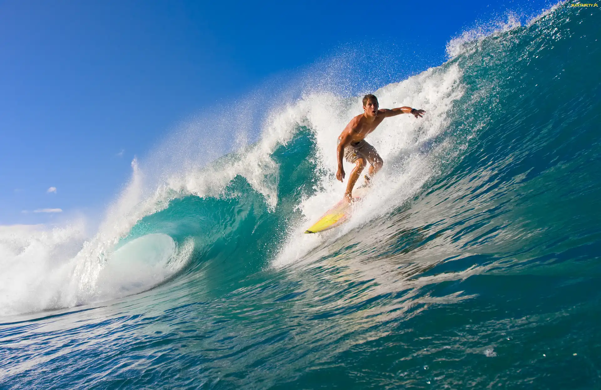 Fale, Ocean, Surfing