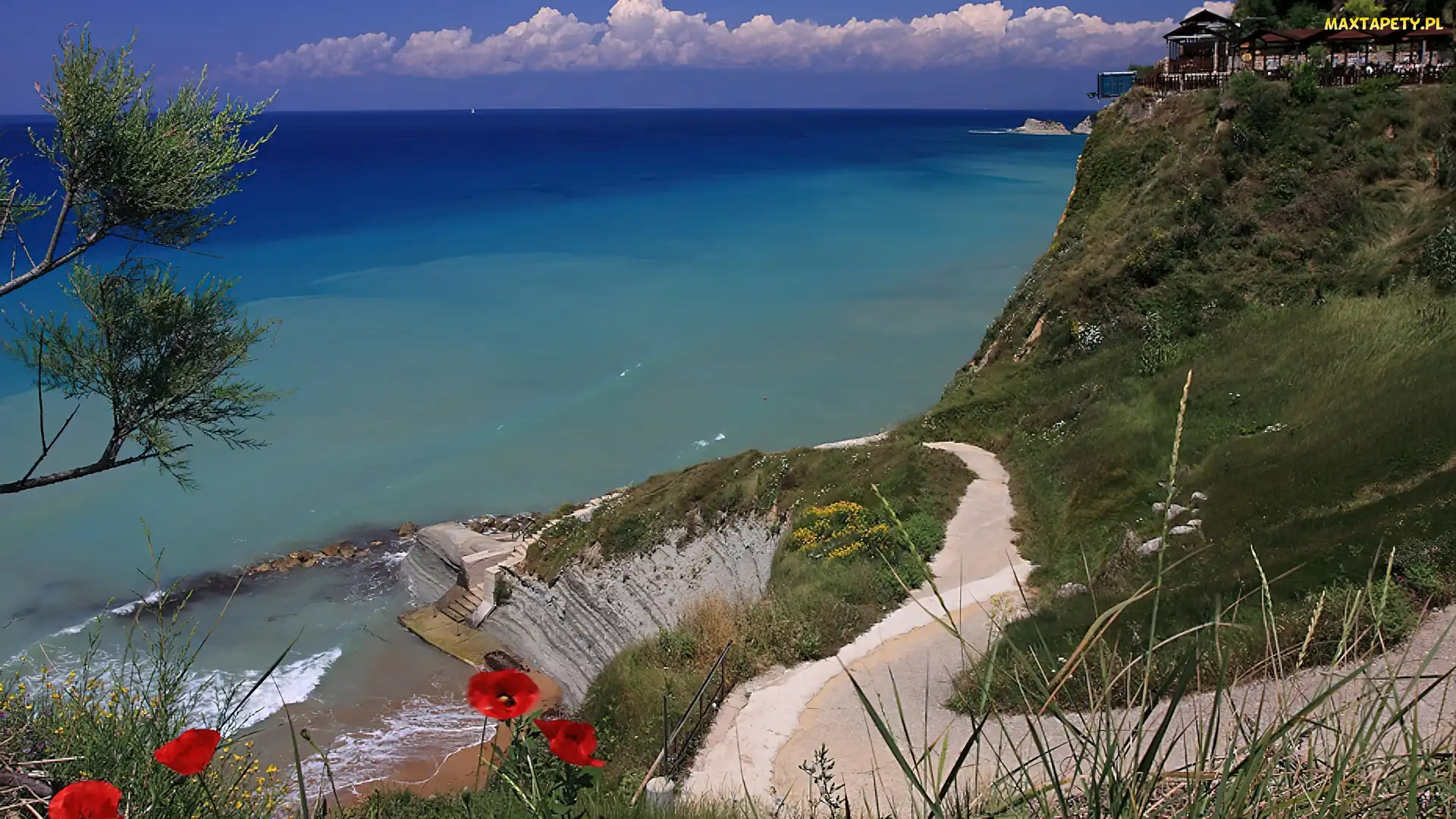 Klif, Maki, Ocean, Ścieżka