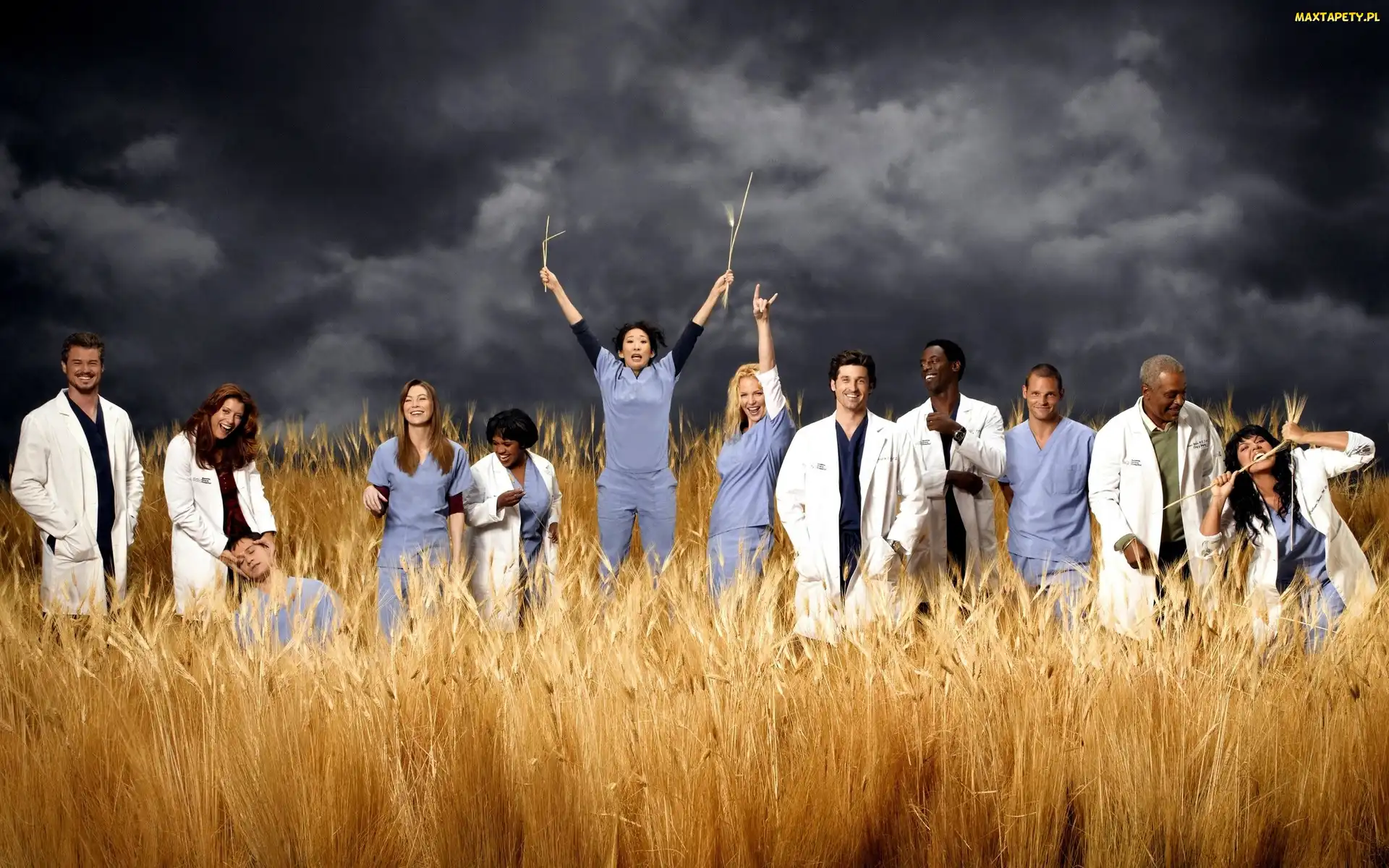 Zboża, Kłosy, Greys Anatomy, Chirurdzy, Burzowe, Chmury