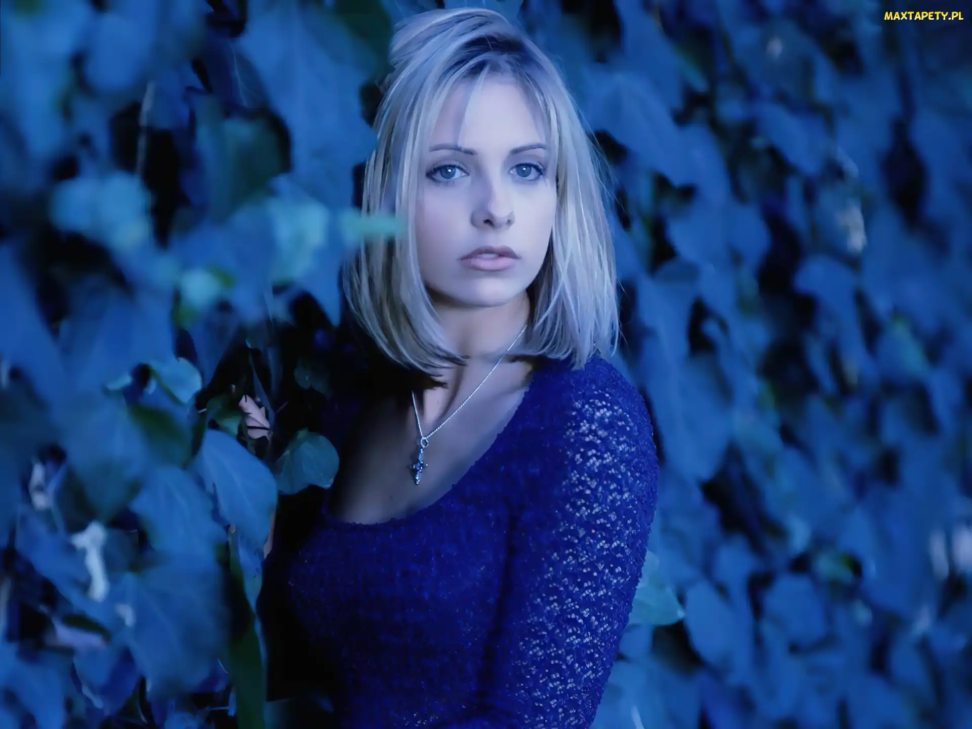 Sarah Michelle Gellar