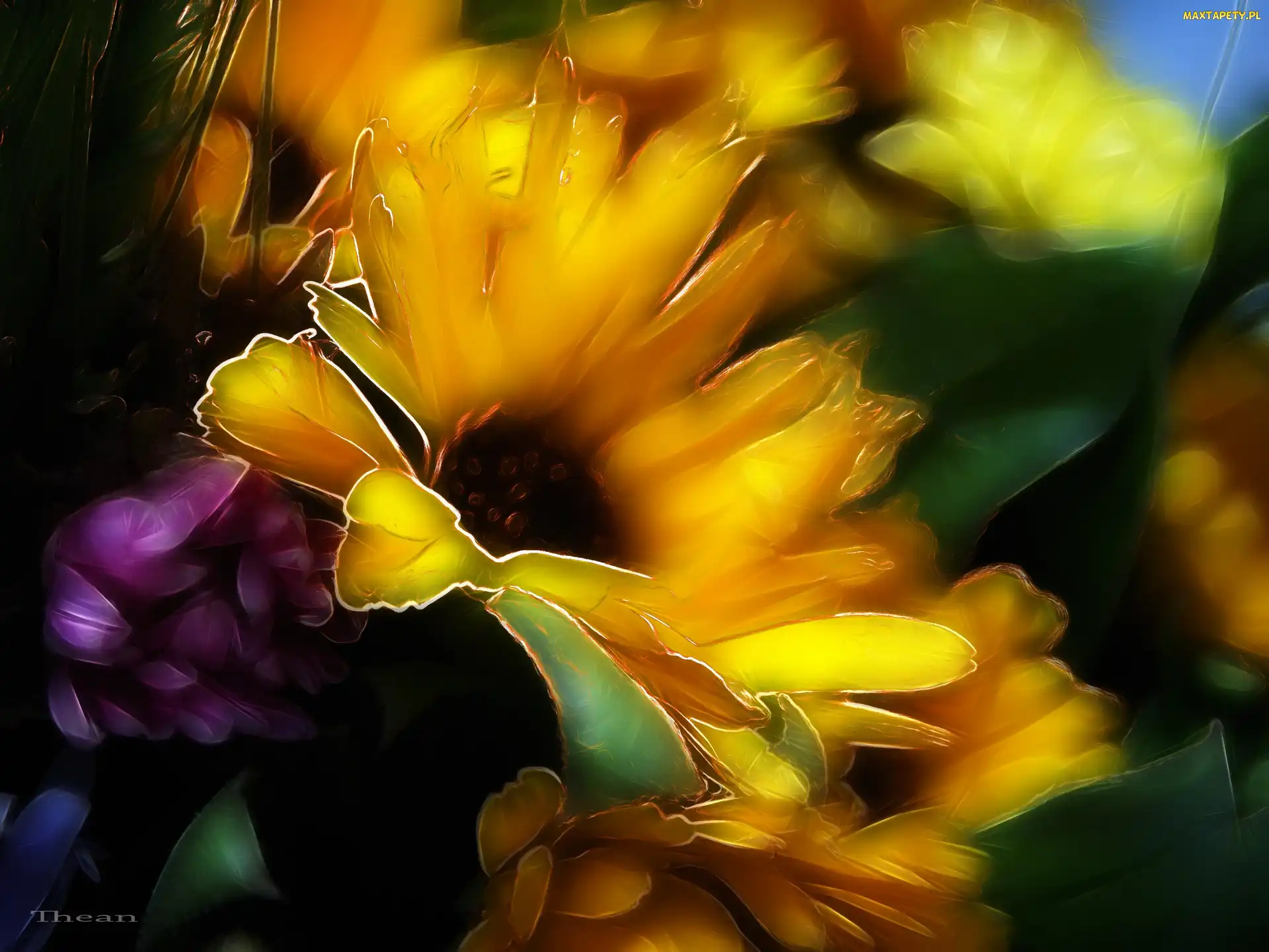 Polne, Fractalius, Kwiaty