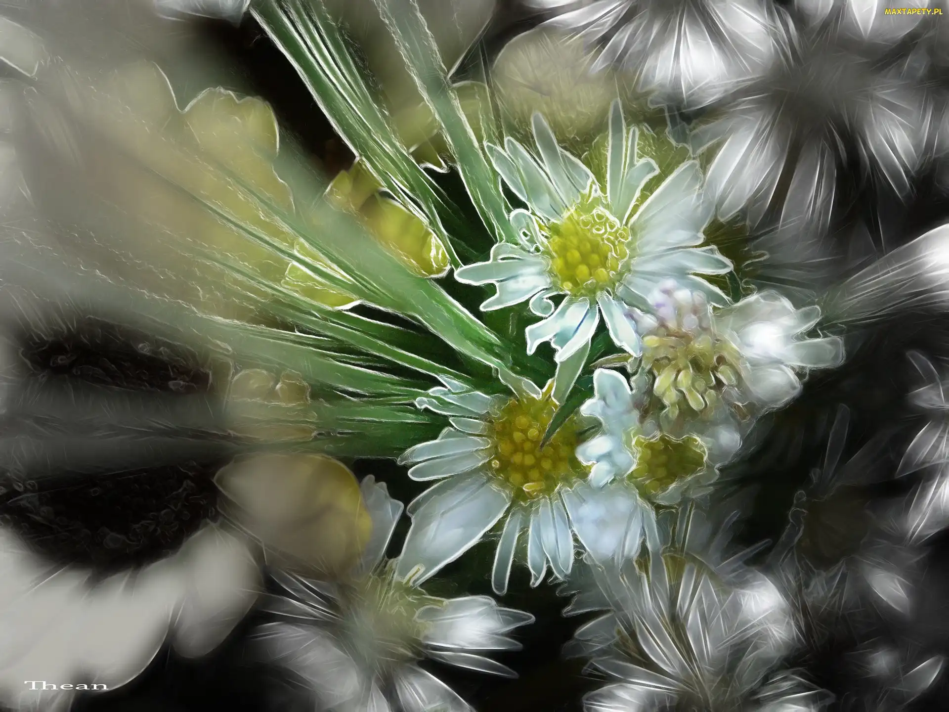 Polne, Fractalius, Kwiaty