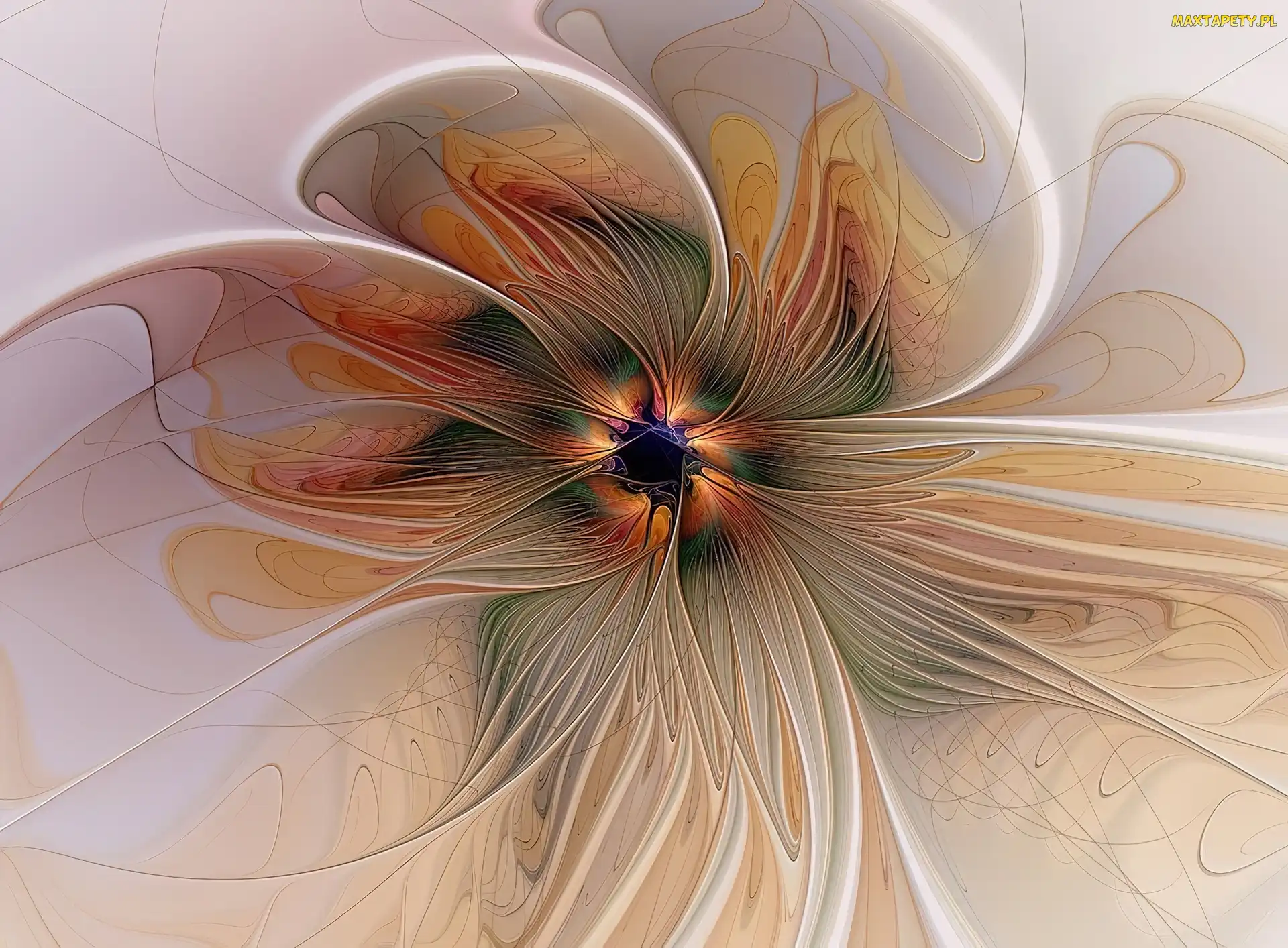 Fractal, Kwiat