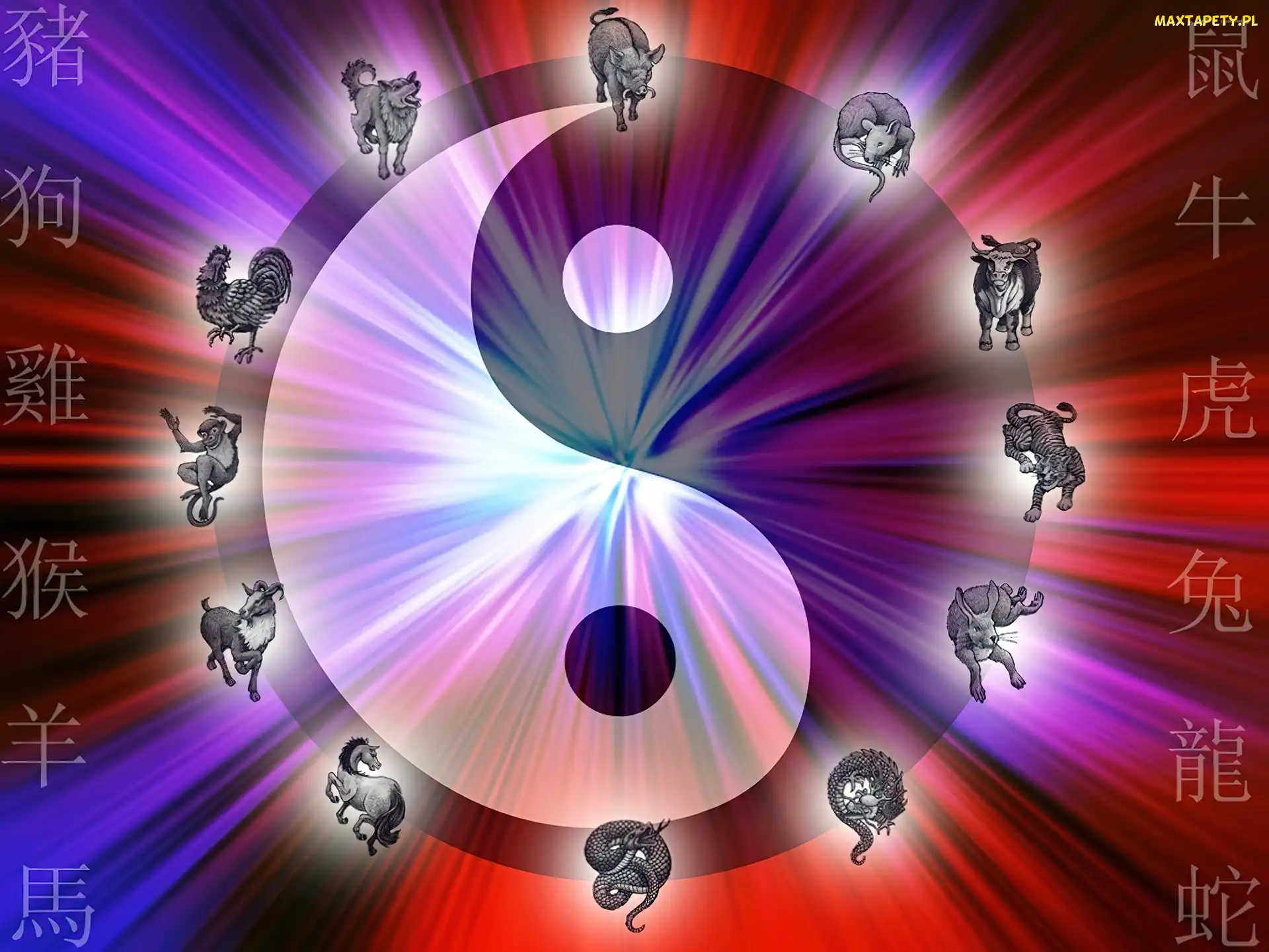 Yin-Yang, Zodiaku, Chińskie, Znaki