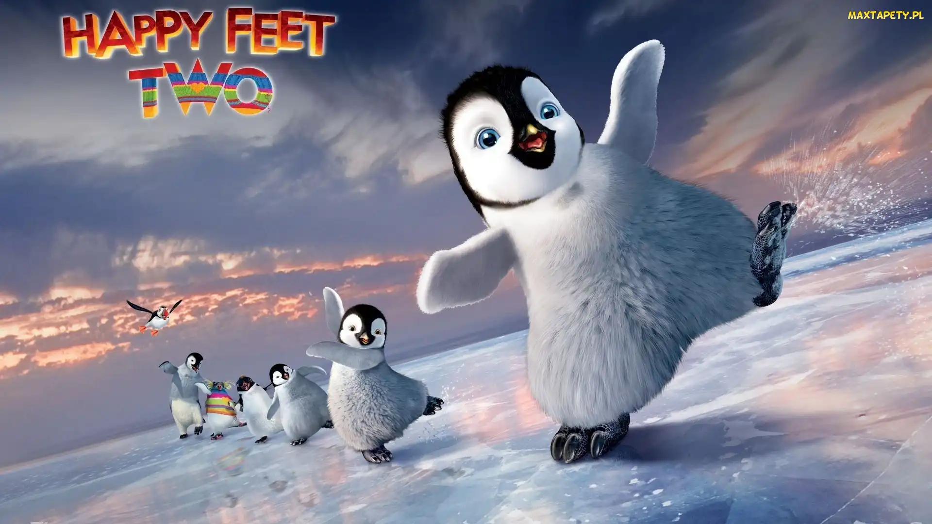 Happy Feet, Tupot małych stóp, Pingwiny