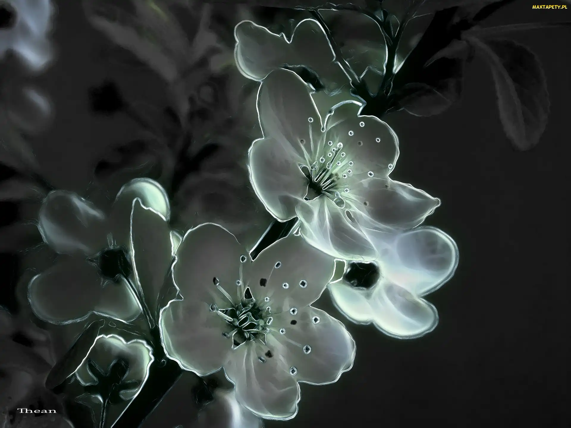 Kwiaty, Fractalius, Wiosenne