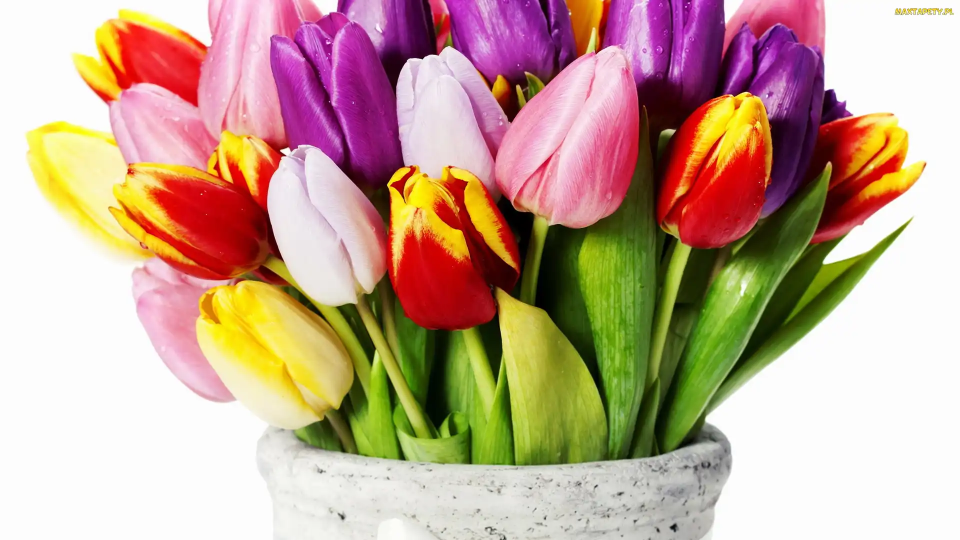 Różnokolorowe, Tulipany, Wazon