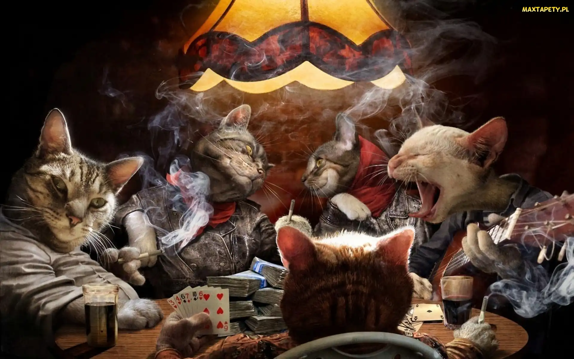 Karty, Poker, Koty
