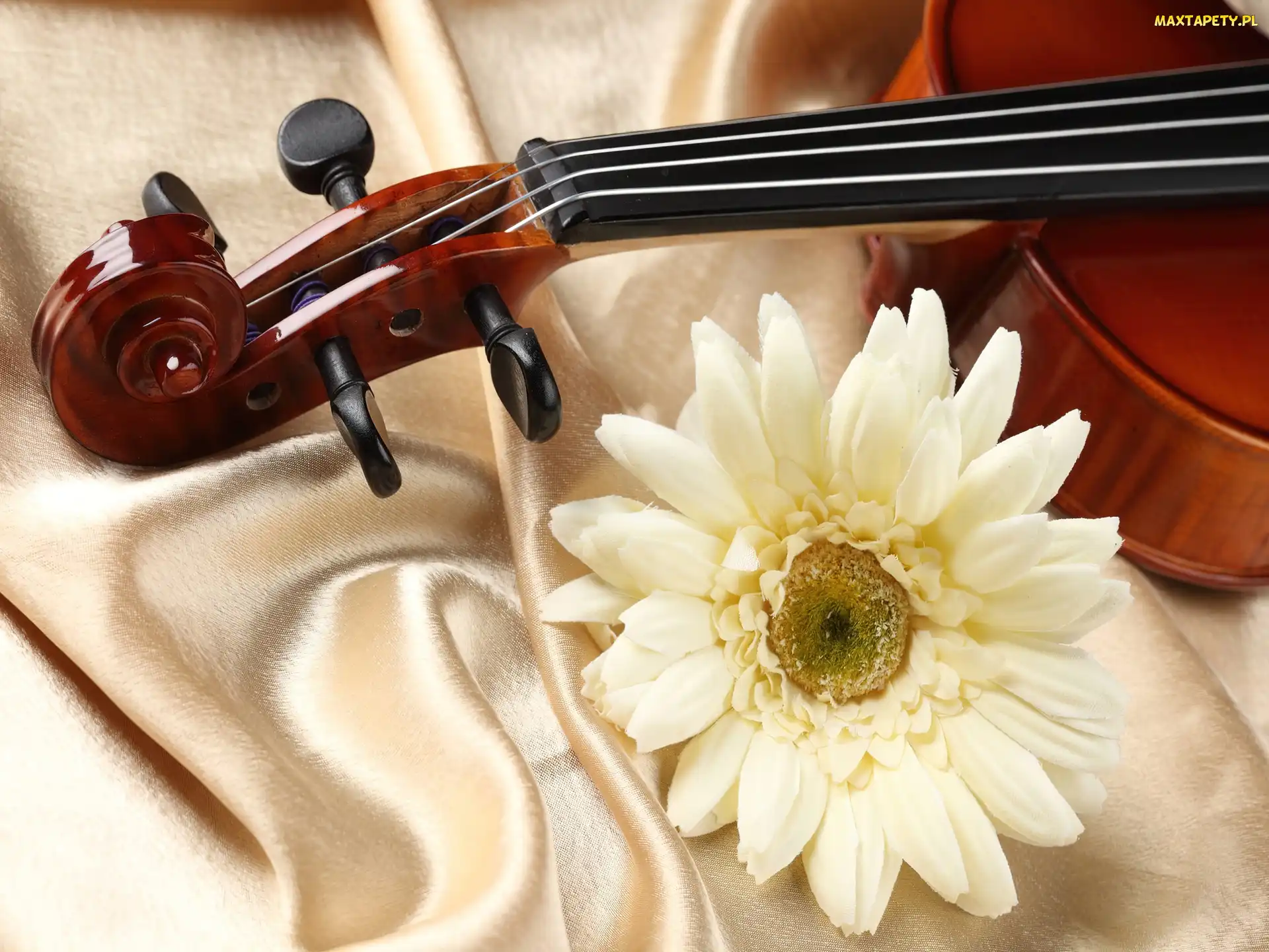 Tkanina, Gerber, Instrument, Muzyczny