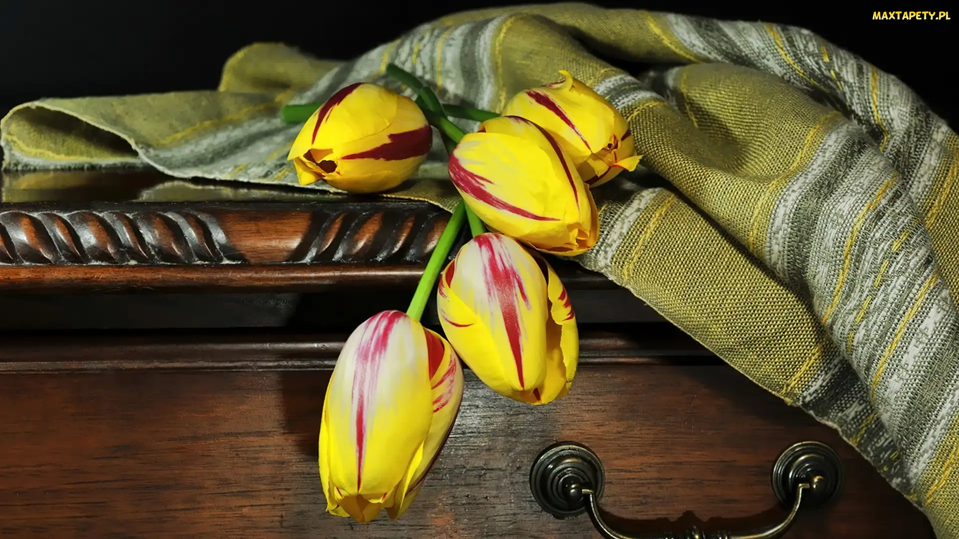 Skrzynia, Narzuta, Kolorowe, Tulipany